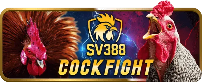 Video Slot Hiện Đại